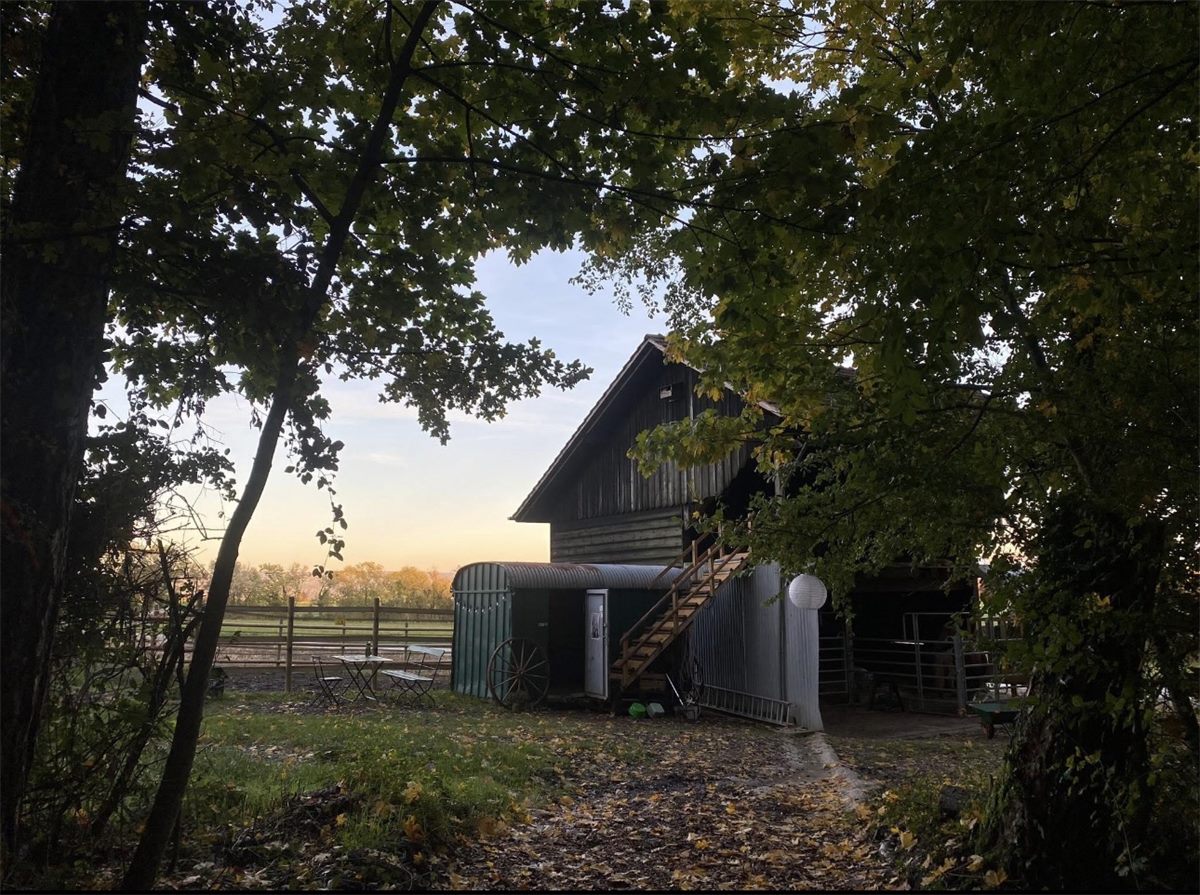La grange de l’écurie entre les arbres, au coucher du soleil