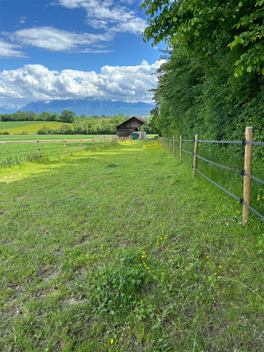 Le pré et l’écurie, avec les montagnes à l’horizon